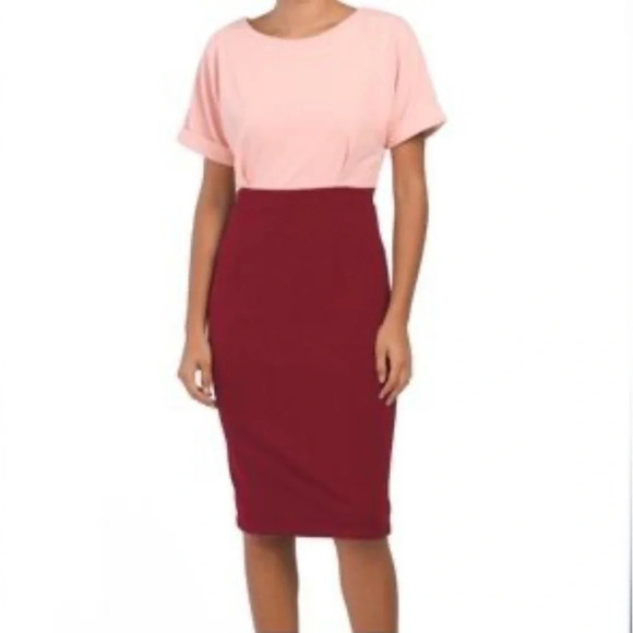 Alexia Ardmor NEW Color Block Pink/Burgundy Midi Sheath Dress Size XL - Picture 1 of 12